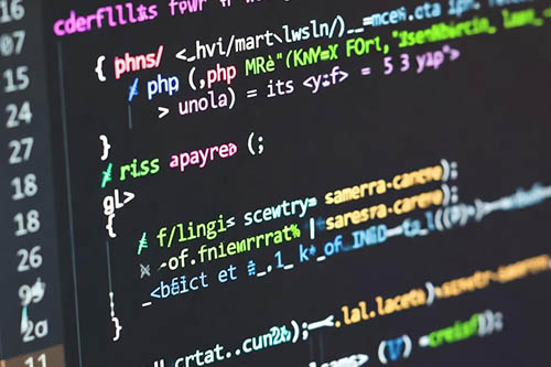 Website Development Stage