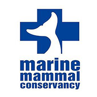 Client 06 – Unicus Alliance Client